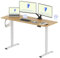 FLEXISPOT Bureau Assis Debout Électrique 160x60cm, Bureau Réglable Électrique en Hauteur avec Plateau Érable, Table d'ordinateur avec Crochet, Fonction Mémoire