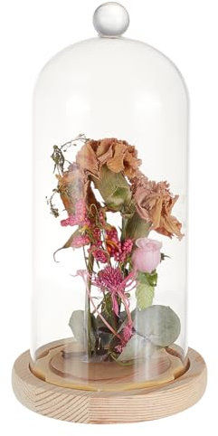 GOMAKERER 1 Stück Glasglocke, 11.2x22.6cm Glocke, Terrarium mit Korkboden dekorative Displaykuppel für Pflanzen, Blumen, Weihnachtsdekoration