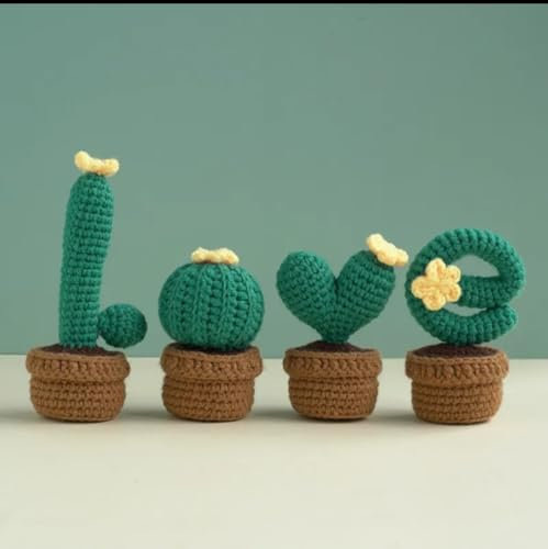 Genérico Kit de crochet cactus love, kit de ganchillo para principiantes, cactus crochet