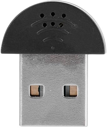 Risegun Mini Microphone USB, Adaptateur de Micro Audio D'enregistrement, Portable USB Mini Studio Microphone Vocal Audio MIC Adaptateur pour Ordinateur PC (Noir)