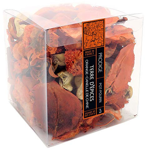 POT-POURRI boite - TERRE D'EPICES (cannelle orange)