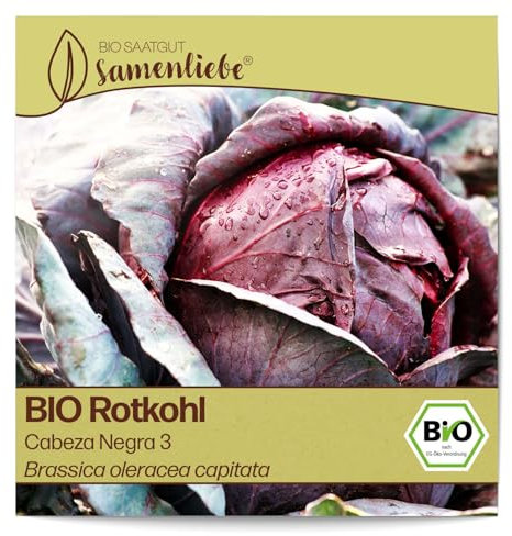 Samenliebe BIO Rotkohl Samen Cabeza Negra 3 aromatischer Blaukraut runder Kohl rot violett 200 Samen samenfestes Gemüse Saatgut für Gewächshaus Freiland und Balkon BIO Gemüsesamen winterhart