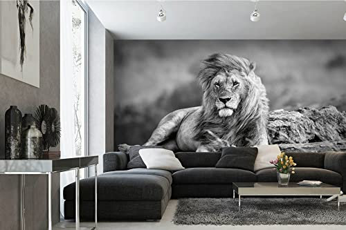 Vlies Fototapete MÄCHTIGER LÖWE 375 x 250 cm (inkl. Kleister) - Vlies Tapete, Wandtapete, Wandbilder - Tapete für Wohnzimmer Schlafzimmer, Büro, Küche - Montagefertig