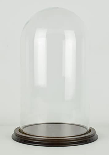 EMH Vintage Look Glass Dome With Wooden Base Height 30 cm x 19.5 cm, ID089B / 20x30c