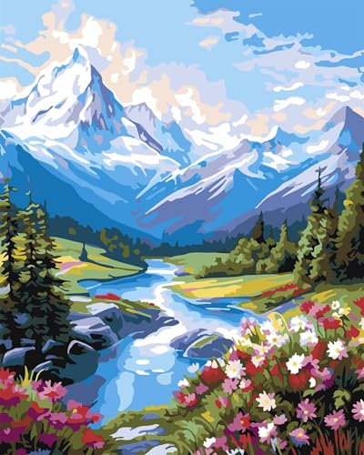 Yoonqun Malen Nach Zahlen Erwachsene,Malerische natürliche Blumen DIY ohne Rahmen Ölgemälde auf Leinwand Erwachsene Kinder Ölgemälde Kit mit Pinseln und Acrylfarbe für Home Décor 40x50cm