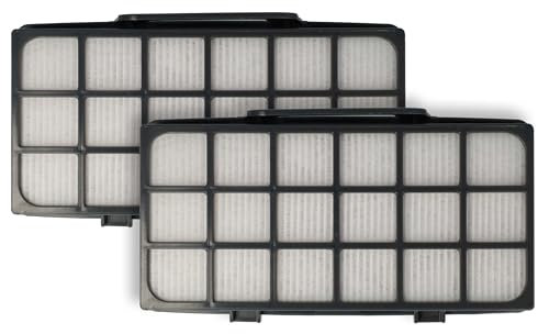 vhbw 2x filtro post-motore compatibile con Rowenta Power XXL Parkett RO3126EA, RO3143EA aspirapolvere - filtro aria di scarico EPA