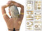 Terra Tattoos Boho Metallic Jasmine (Gold)