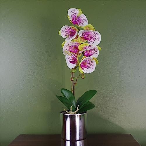Leaf 46cm Artificial Orchid Harlequin Pink with Silver Pot
