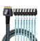 CY Cable Slimline SAS 4.0 SFF-8654 8i 74pin Host Raid to 8 SATA 7pin Target Hard Disk Fanout Raid Cable 1-to-8 Splitter (50cm)