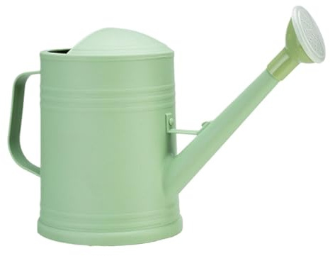 Arrosoir – PP 2L Capacité | Décoratif Fine Brume Aspersion Design | Extérieur Jardin Irrigation Bouilloire Confortable Poignée Broc pour Pelouse Patio Porche Cour Jardinage Et Soin Végétaux