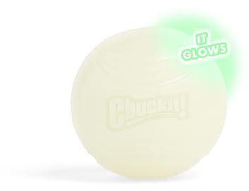 Chuckit – Max Glow Ball Large – Phosphoreszierender Ball für Hunde – Gummiball – weich im Mund – verstärkt die Komplizenschaft – Größe Large – Durchmesser 7,5 cm