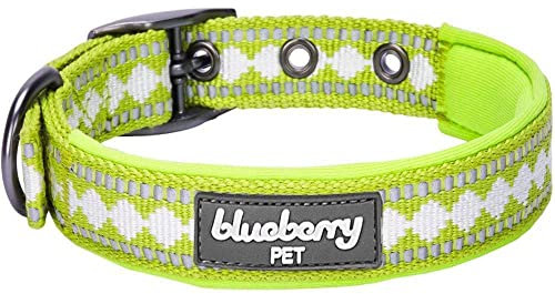 Blueberry Pet Halsbänder für Hunde 1,5cm S 3M Reflektierendes Hundehalsband in Ara-Grün mit Jacquardmuster