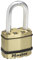 Master Lock LOCK Hochleistungsvorhängeschloss [Schloss mit Schlüssel] [Laminierter Stahl] [Wetterfest]M1BEURDLF - Ideal für Lagerräume, Garagen etc. Golden 8,6 cm x 4,5 cm x 2,2 cm