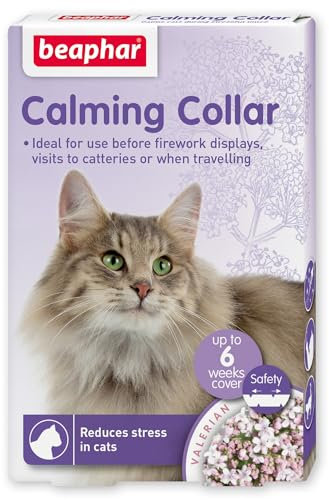 Beaphar - Herbal Calming Collar - For Cats - For Fireworks, Thunderstorms, Car Travel & Long-Term Stress - Contains the Natural Herb Valerian - Up to 6 Weeks of Calming - 1x Adjustable 65cm Collar