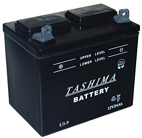 Greenstar 15376 Batterie u1.l9 (f507), Noir