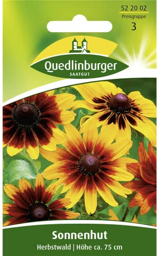 Sonnenhut, Herbstwald