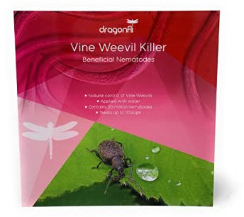 Dragonfli Vine Weevil Killer Nematodes 100 Square Metre Pack