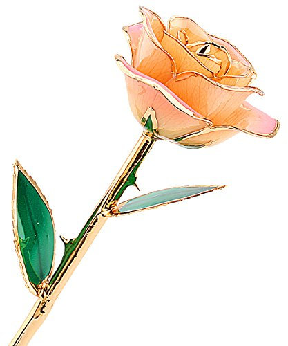 gold rose, echte rose vergoldet, gold rose 24 karat rose silber blumen valentinstag Love Forever 24k vergoldet Echt Rose, der Liebe (weiß rosa)