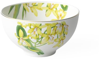 Villeroy & Boch 10-3514-1906 Amazonia Bol Porcelaine Vert 29,5 x 18 x 16,5 cm