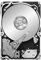 Seagate Enterprise Capacity 2.5 250GB HDD 7200rpm