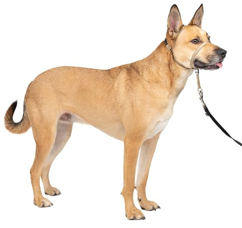 PetSafe Gentle Leader No Pull Dog Headcollar, Fawn, Medium