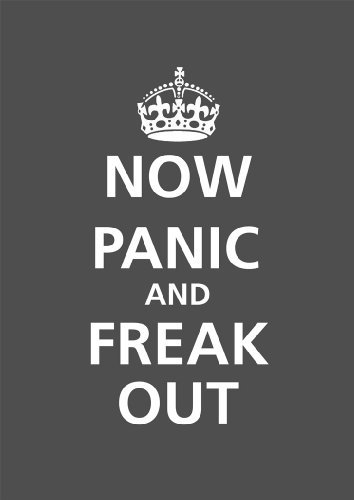 Now Panic And Freak Out grau A2 Poster