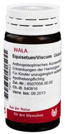 EQUISETUM/VISCUM Globuli 20 g