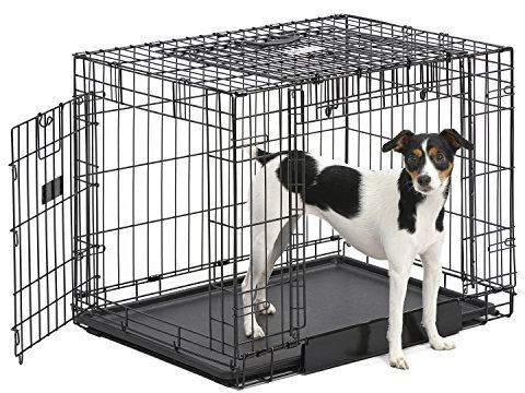 MidWest Homes for Pets Ovation modelo 1930DD Jaula plegable metálica para perros, tamaño mediano y longitud de 76,2 cm, con doble puerta, color negro, para perros medianos