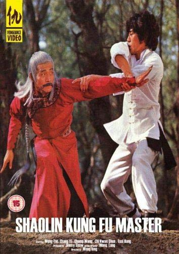 Shaolin Kung Fu Master