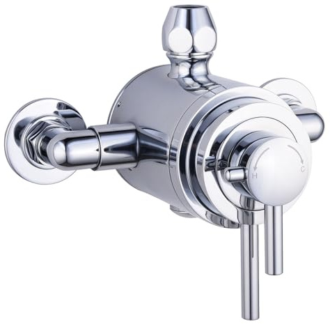 ECOSPA Modern Concentric Solid Brass Exposed Dual Thermostatic Bathroom Shower Mixer Valve