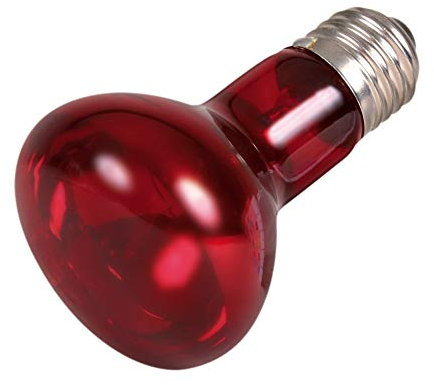 Trixie Lampada Spot Infrarossi Riscaldante 35W per Rettili Articoli per Animali, Rosso, 35 Watt