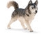 Schleich 16835 - Husky, Tier Spielfigur