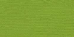 My Farben Bezug Leinwand 36,3 kg schweren Gewicht tonkartons 30,5 x 30,5 cm – Mint Julep,