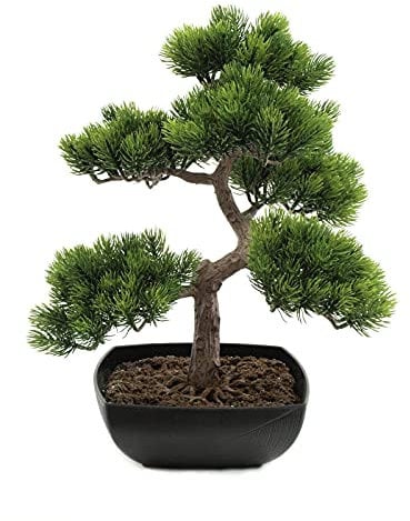 EUROPALMS Bonsai-Pinie, Kunstpflanze, 50cm | Bonsai-Pinie, hervorragend als Tischdeko geeignet