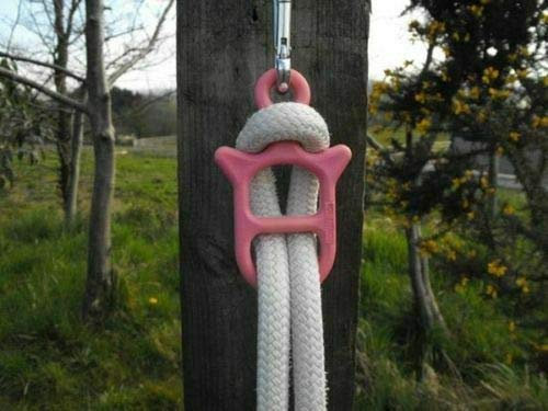 Equipride Idolo Tether Tie Safety Horse Pony & Clip Quick Release Stable & Horse Box Tying (Pink)