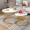 Merax Runder Couchtisch 2er Set, Moderne Beistelltisch mit Hochglanz Marmorstruktur für Wohnzimmer, Satztisch für Empfangszimmer, Balkon, und Büro, Metallgestell, Einzigartige Form, Gold & Marble