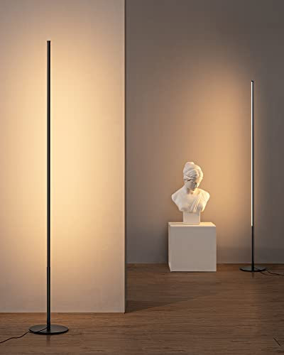 EDISHINE Modern LED Floor Lamp 2 Pack, 57.5 Minimalist Dimmable Standing Lamp,Tall Floor Lamps for Living Room, Bedroom, Office, 3000K Warm White Light, Black