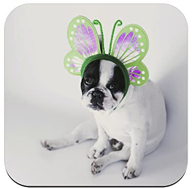 Untersetzer aus Kork – Kleiner Hund Französische Bulldogge Weiß und Schwarz mit Haarreif Schmetterling Grün Lila Niedliche Tiere – 6 Stück (95 x 95 mm)