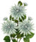 Hollyone 3PCS Blau künstliche Dahlie Blumen, 75cm gefälschte große Seidenblumen mit langem Stiel für Florale Arrangements, Faux Dahlien Blumen für DIY Hochzeit Party Mittelstücke Haus Büro Dekoration