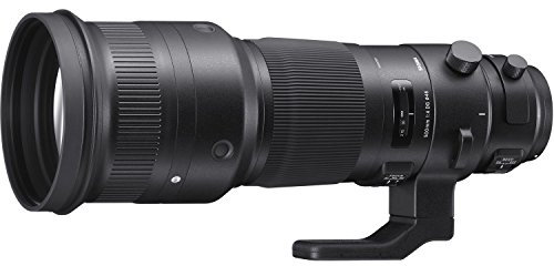 Sigma F4 DG OS HSM Sports - Objetivo para cámara para réflex (500 mm), Negro