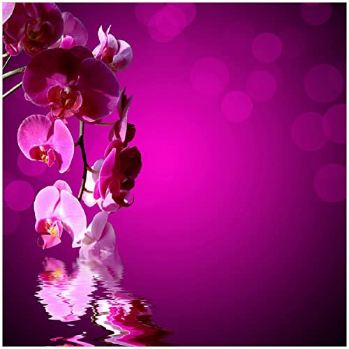 Wallario Glasbild Rosafarbene Orchidee Blüten in pink - 30 x 30 cm Wandbilder Glas in Premium-Qualität: Brillante Farben, freischwebende Optik
