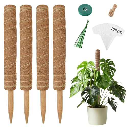 Chicpant 4PCS Tuteur Monstera Coco Plante Grimpante Exterieur 43CM Tuteurs pour Plantes Tuteur Sphaigne pour Plante Monstera avec Accessoires