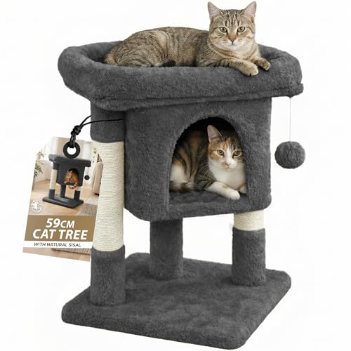 Rex & Roxy Cat Tree 59cm | Cat Tower with Oversized Perches, Condo and Hanging Ball | Pet Furniture House for Kittens | Cat Scratching Post for Scratching, Playing and Sleeping | Grey