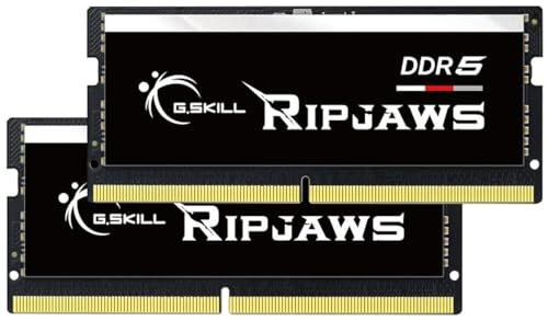 G.SKILL Ripjaws DDR5 SO-DIMM Series DDR5 RAM 64GB (2x32GB) 4800MT/s CL40-39-39-76 1.10V sin búfer sin ECC Memoria SODIMM (F5-4800S4039A32GA2-RS)