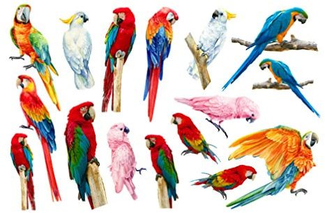 GALPADA 1 Blatt Bunter Papagei-wandaufkleber Abnehmbarer Papageien-wandaufkleber Wand Klebrig Stich-wandtattoo Tropische Wanddekoration Sittich Vogelkäfig Vögel Antikollisions Pvc