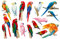 GALPADA 1 Blatt Bunter Papagei-wandaufkleber Abnehmbarer Papageien-wandaufkleber Wand Klebrig Stich-wandtattoo Tropische Wanddekoration Sittich Vogelkäfig Vögel Antikollisions Pvc
