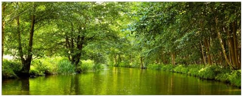 Wallario Küchenrückwand selbstklebend 115 x 50 cm, Motiv: Spreewald in Brandenburg grüne Wälder und Spiegelungen im Wasser | Spritzschutz abwischbar & pflegeleicht