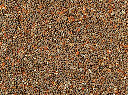 Johnston & Jeff Mixed Poultry Corn - 20kg