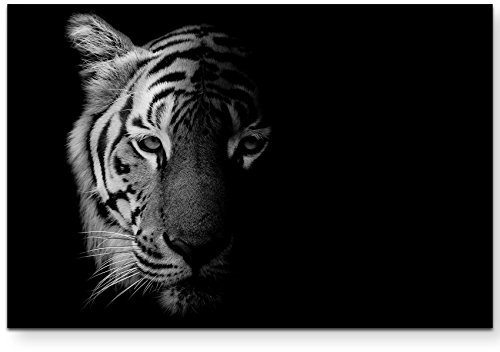 Paul Sinus Art Leinwandbilder | Bilder Leinwand 120x80cm Portrait Tiger schwarz/weiß