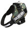 Julius K9 Hundegeschirr, Brustgeschirr reflektierend Hunde Geschirr mit personalisiertes Geschenk, benutzerdefinierter Klettsticker (XL/2, Camouflage)